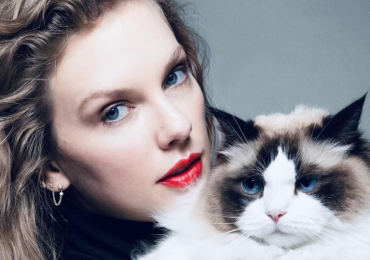 Do Celebrity Endorsements Really Work?