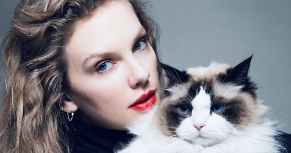 Do Celebrity Endorsements Really Work?